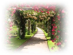 Carolyn Pasquarello, obituary — Ludvigsen Mortuary