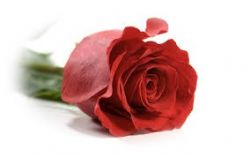 Judith Brown, obituary — Ludvigsen Mortuary