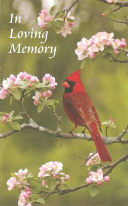 Josephine Fooken, obituary — Ludvigsen Mortuary