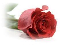 Donna Kruger, obituary — Ludvigsen Mortuary